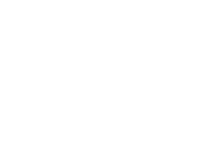 Levant Virtual Airlines Logo