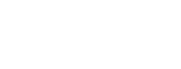 VATSIM